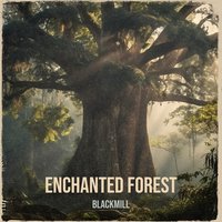 Enchanted Forest - EP