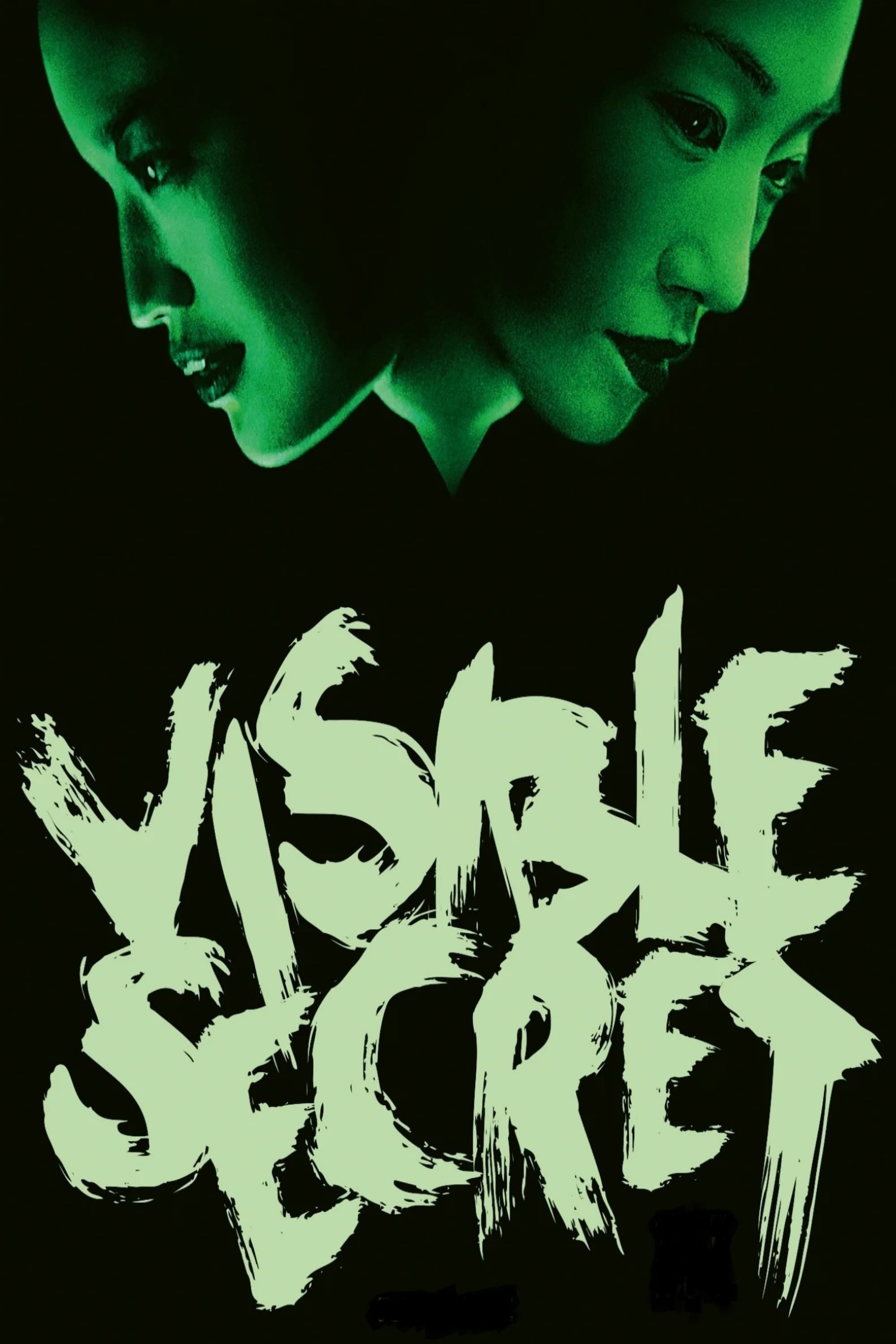 Visible Secret