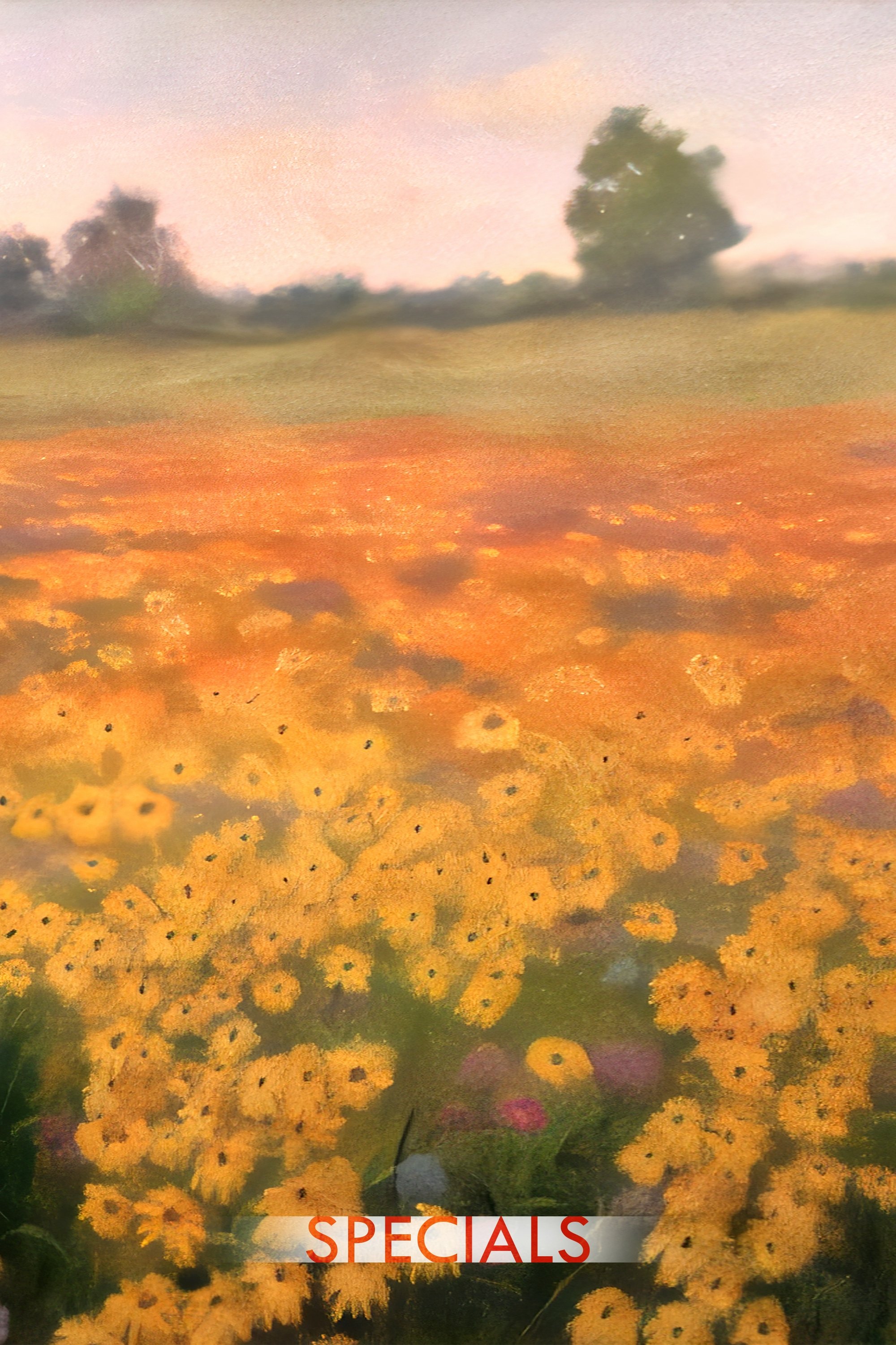 Parks and Recreation (Specials)