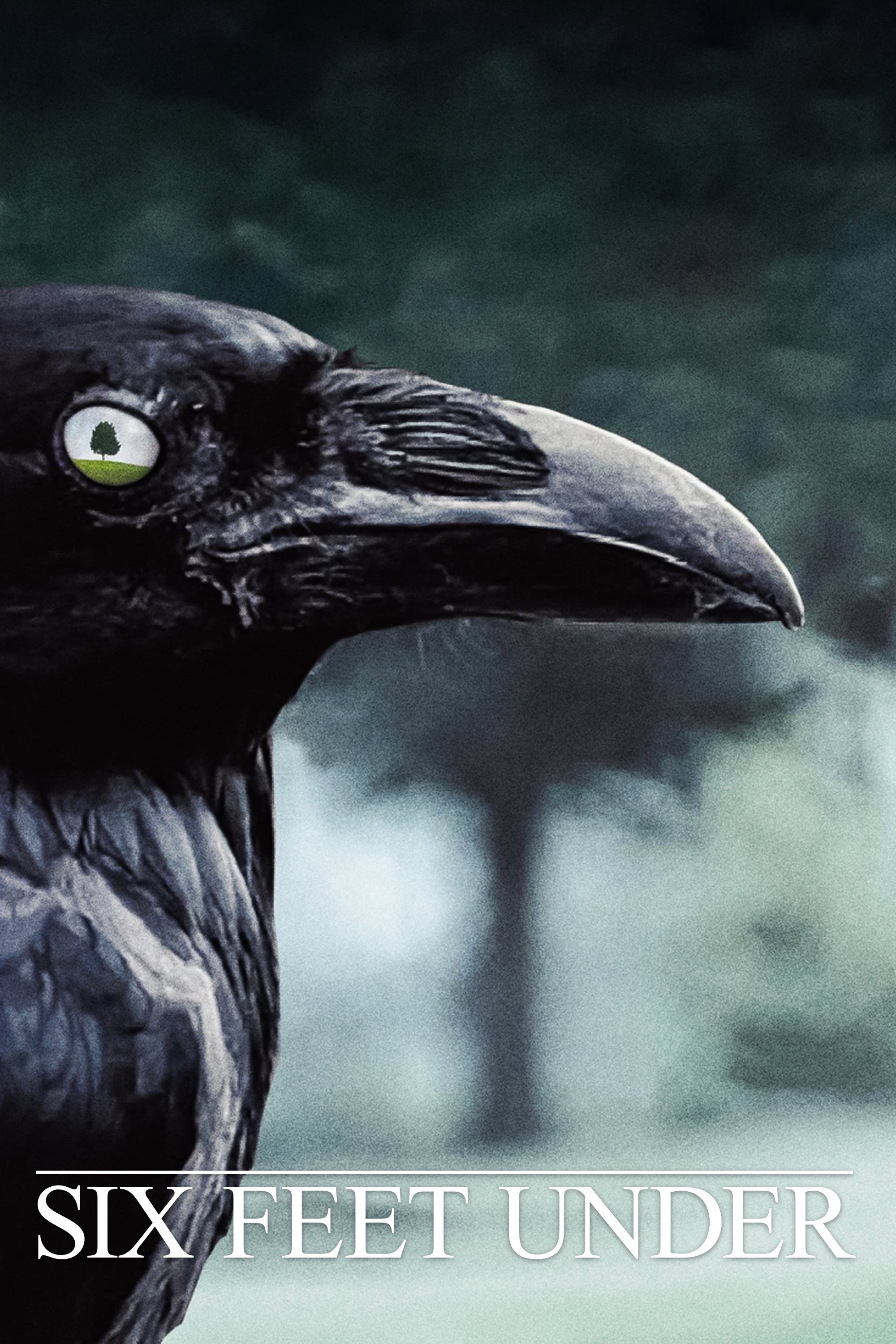 Six Feet Under Season 4