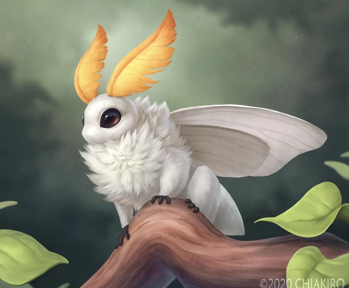 Avatar for the_moth