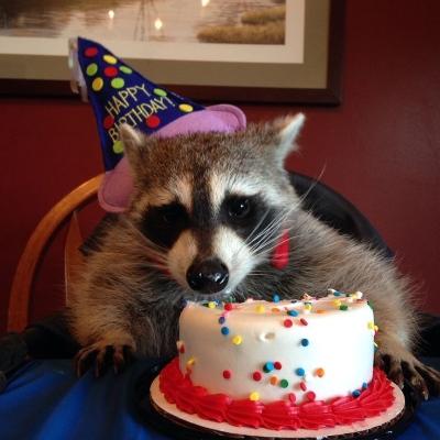 Avatar for Elena Rocks X :cerdito: