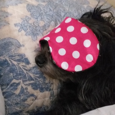 Avatar for Mazz@1984