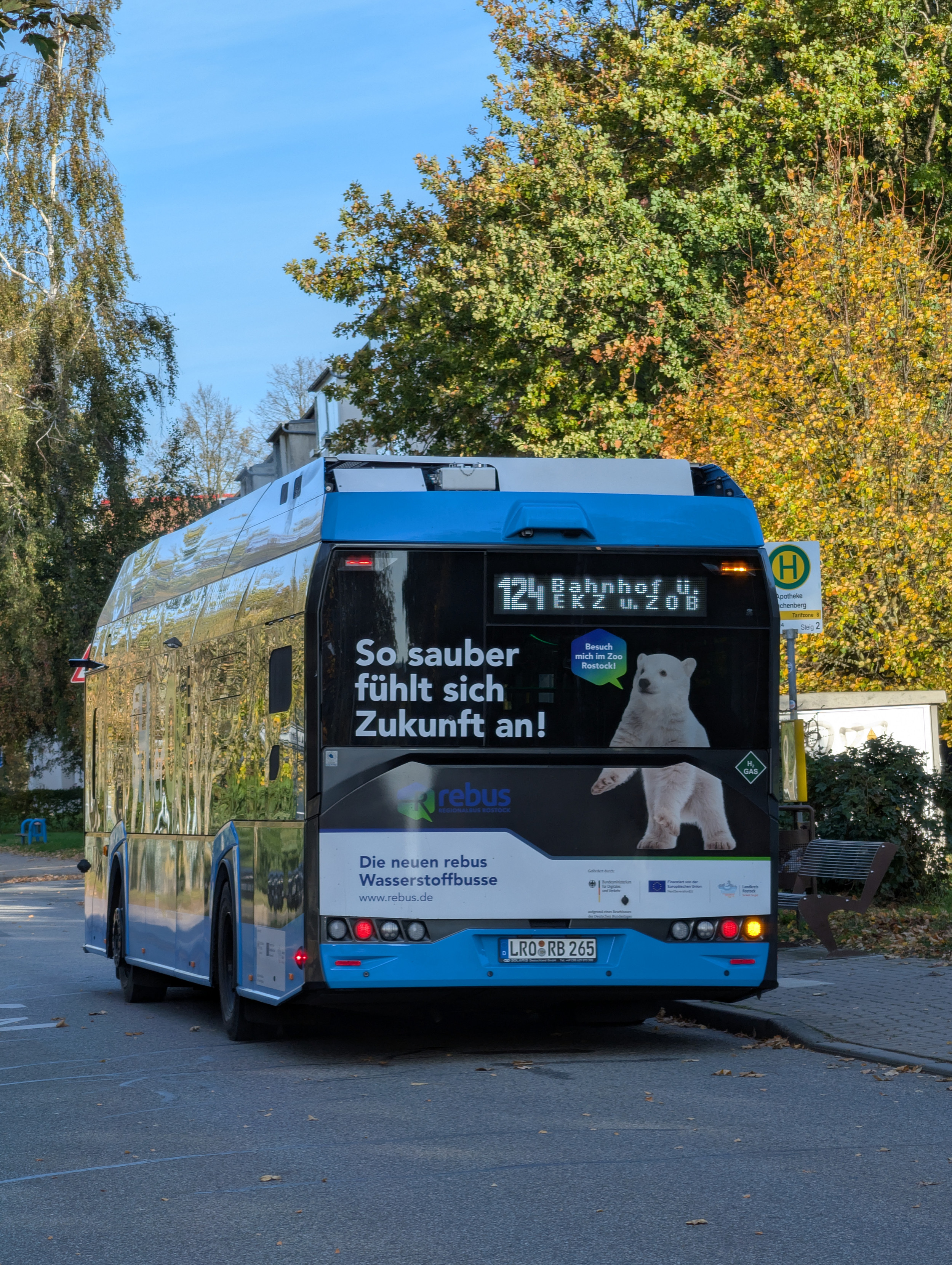 Das Bild zeigt einen himmelblauen Bus, der an einer Haltestelle steht, von hinten. Der Anzeiger am Fahrzeug zeigt den Text "124 Bahnhof ü. EKZ ü. ZOB". Mit einem Bild von einem Eisbären wird Reklame für den Rostocker Zoo gemacht. Ein Schriftzug "So sauber fühlt sich Zukunft an!" weist auf den Wasserstoffantrieb des Fahrzeugs hin.
In der Umgebung Bäume mit herbstlich gefärbten Laub. Blauer Himmel. Das Bild zeigt einen himmelblauen Bus, der an einer Haltestelle steht, von hinten. Der Anzeiger am Fahrzeug zeigt den Text "124 Bahnhof ü. EKZ ü. ZOB". Mit einem Bild von einem Eisbären wird Reklame für den Rostocker Zoo gemacht. Ein Schriftzug "So sauber fühlt sich Zukunft an!" weist auf den Wasserstoffantrieb des Fahrzeugs hin.
In der Umgebung Bäume mit herbstlich gefärbten Laub. Blauer Himmel.